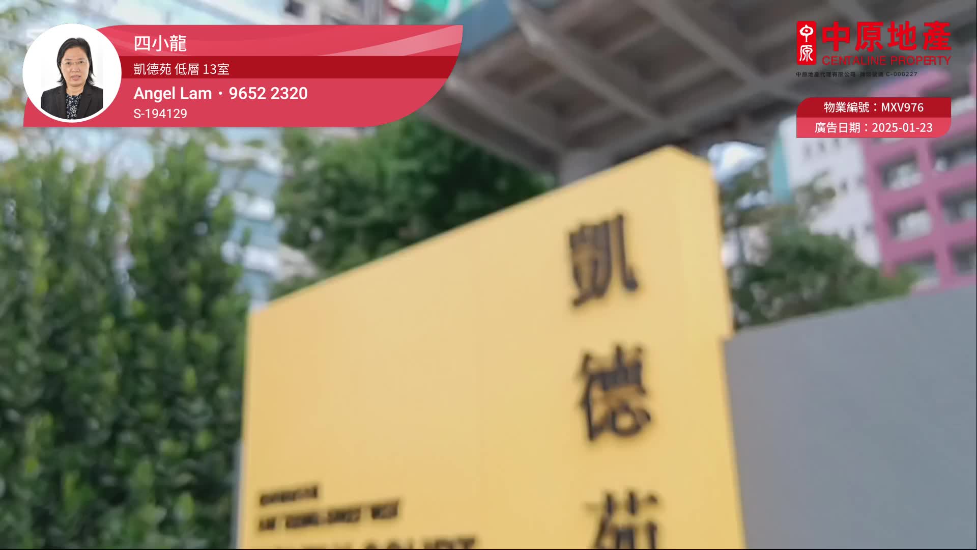 凯德苑, 视频