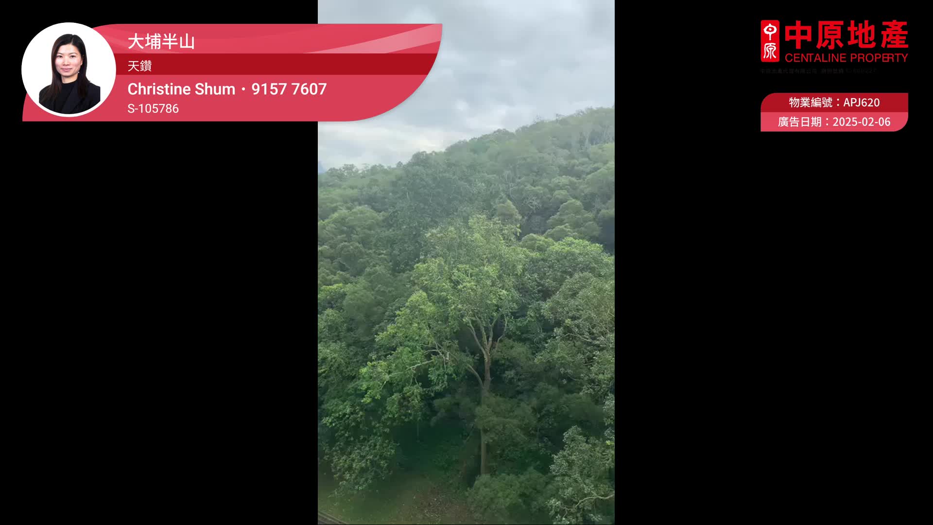 天鑽, 視頻