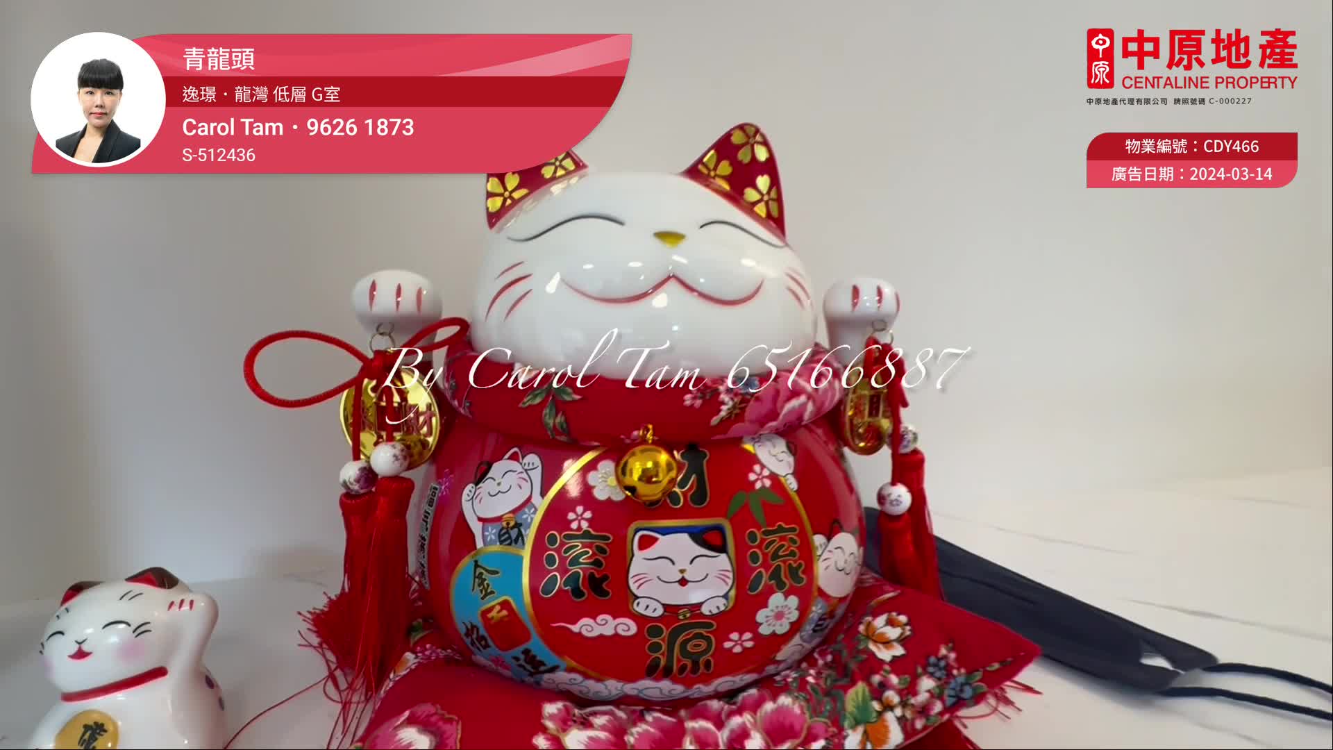 逸璟.龍灣 2座, 視頻