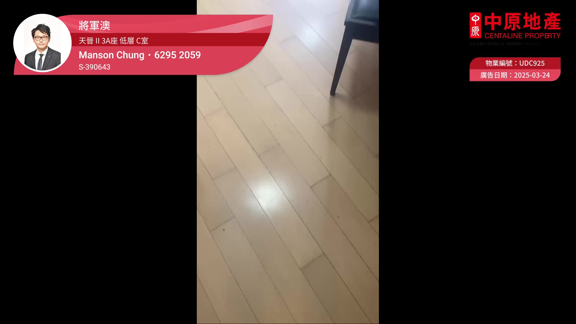 天晉 II 3A座, 視頻