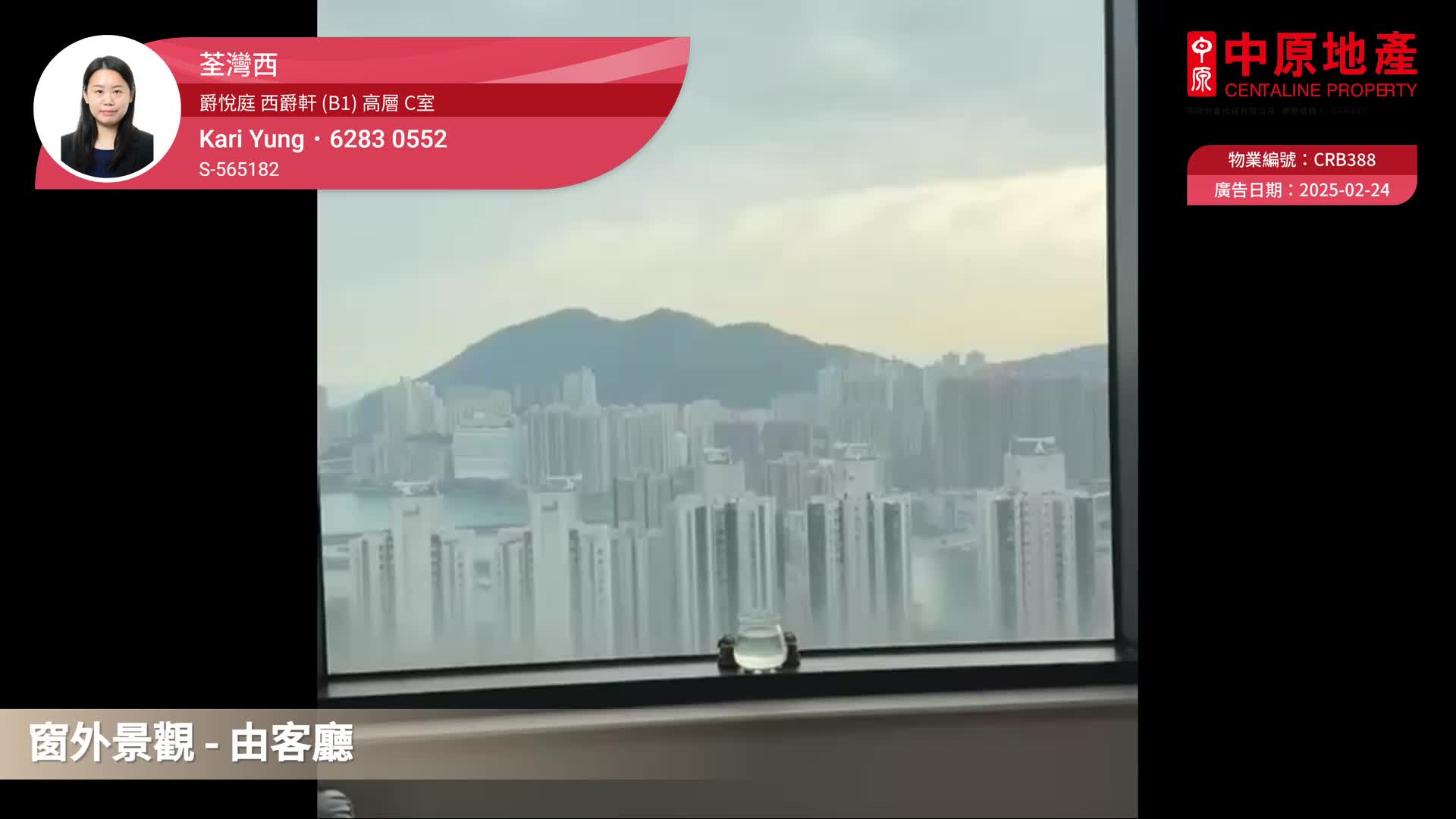爵悦庭 西爵轩 (B1), 视频